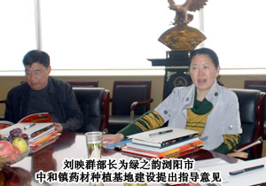 長沙市委統(tǒng)戰(zhàn)部常務副部長劉映群一行蒞臨綠之韻集團考察