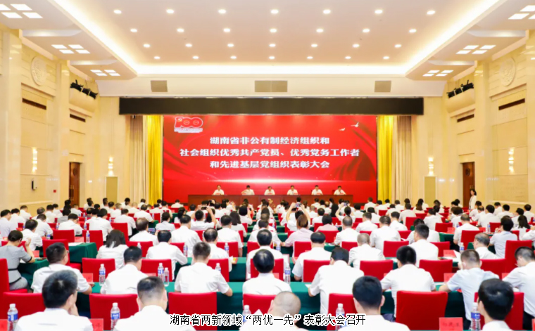 湖南省兩新領(lǐng)域“兩優(yōu)一先”表彰大會召開，綠之韻集團(tuán)黨委書記劉云榮獲湖南省“優(yōu)秀黨務(wù)工作者”榮譽